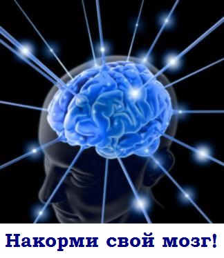 Картинка как работает наш мозг. питание мозга