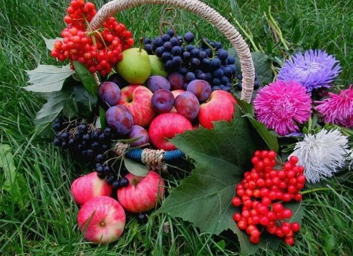 8 соков и напитков, полезных для здоровья