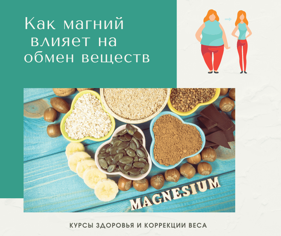 Как магний влияет на обмен веществ
