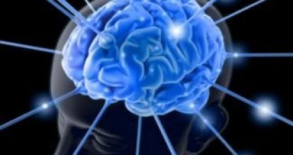 Как улучшить память и внимание или что любит наш мозг