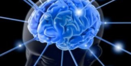 Как улучшить память и внимание или что любит наш мозг